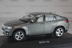 BMW X6 (серо-бежевый металлик)